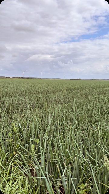 #lonely #alleen #achtergelaten #outofplace #help #spion